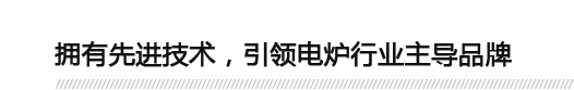 擁有先進(jìn)技術(shù)，引領(lǐng)電爐行業(yè)主導(dǎo)品牌